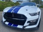 Thumbnail Photo 51 for 2020 Ford Mustang Shelby GT500